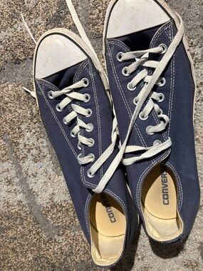 Converse Navy and White Low-Top Canvas Sneakers